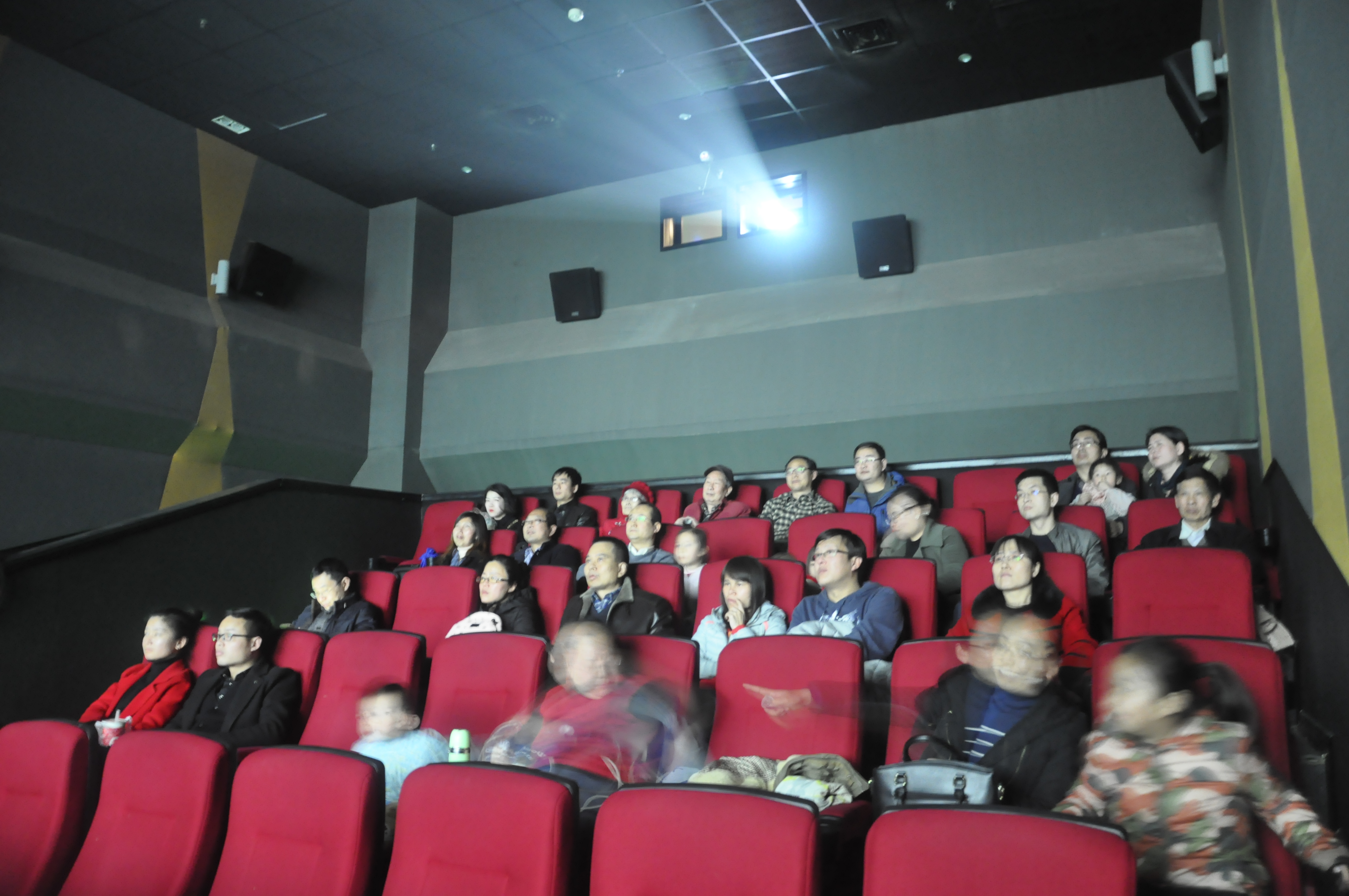 1520902111932082717.jpg _DSC0406.jpg